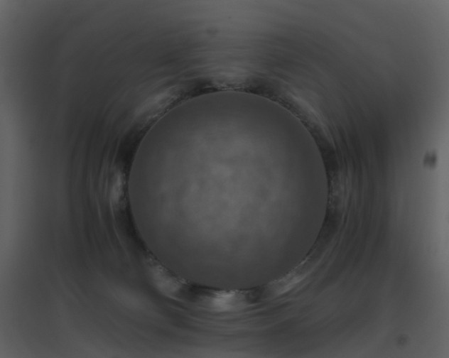 X0000096700130200802121211