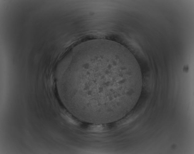 X0000096700131200802121211