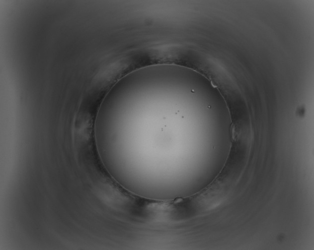 X0000096700133200802121211