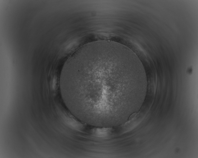 X0000096700134200802121211