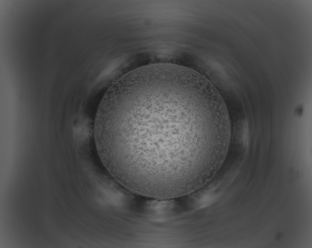 X0000096700135200802121211