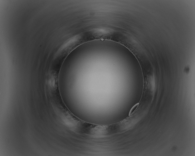 X0000096700138200802121211