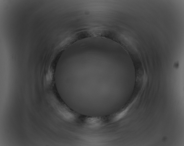 X0000096700139200802121211