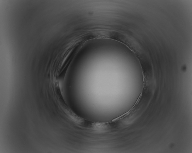 X0000096700141200802121211