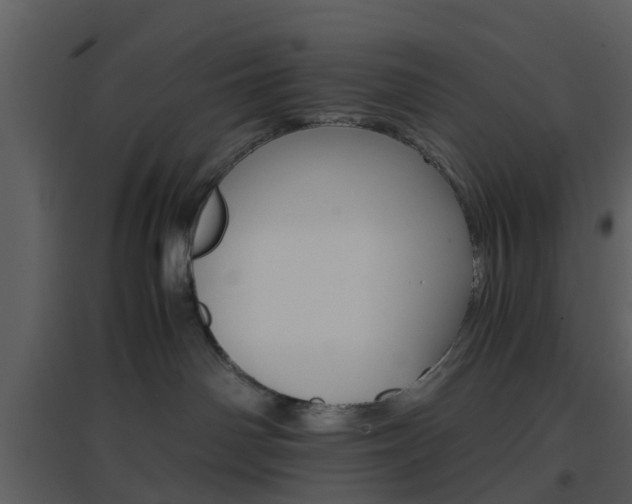 X0000096700142200802121211