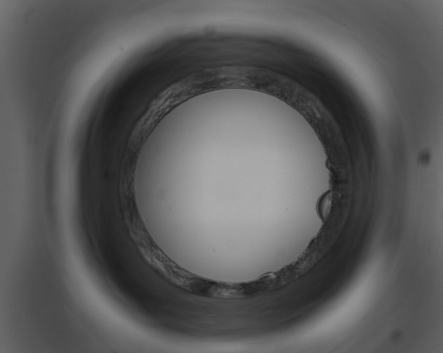 X0000096700143200802121211