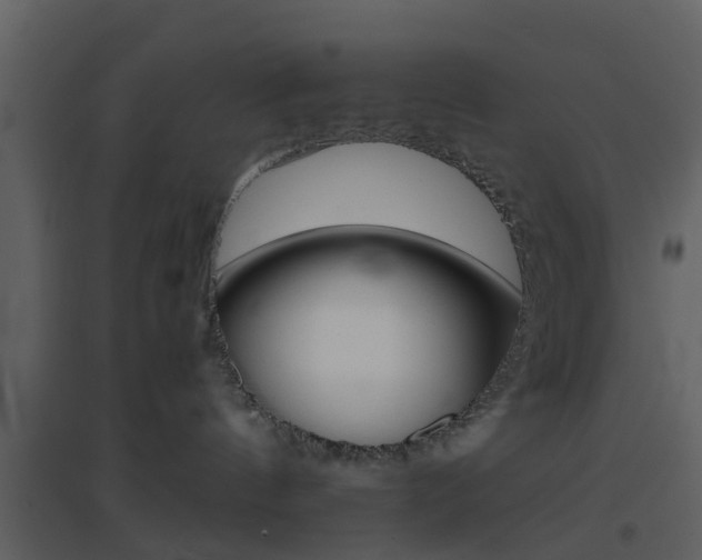 X0000096700144200802121211