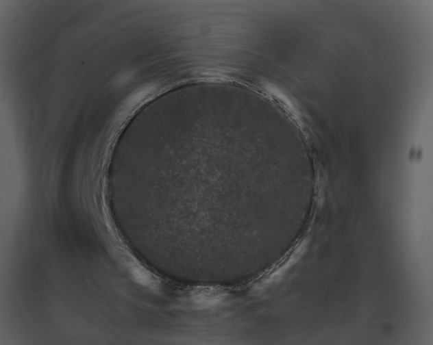X0000096700145200802121210