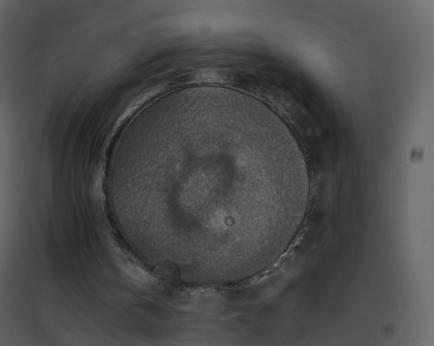 X0000096700146200802121210