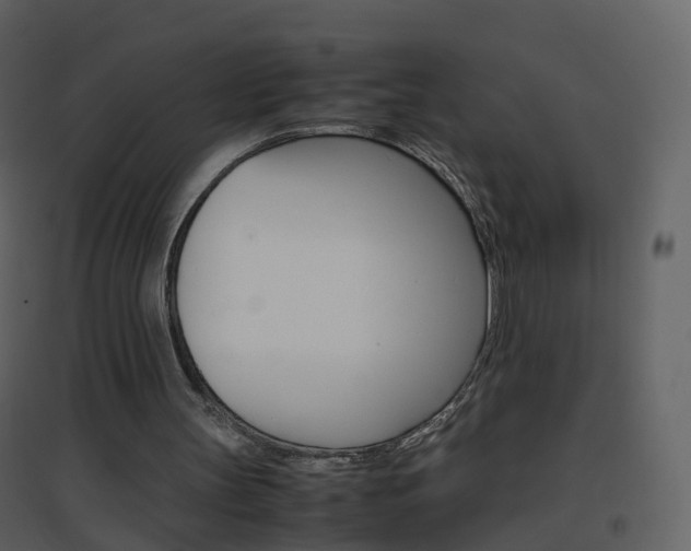 X0000096700147200802121210