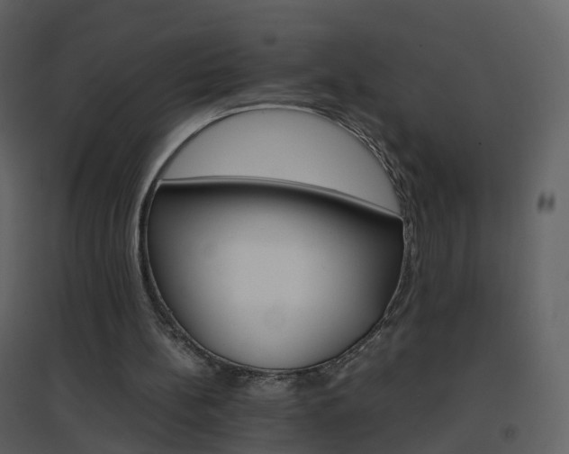 X0000096700148200802121210