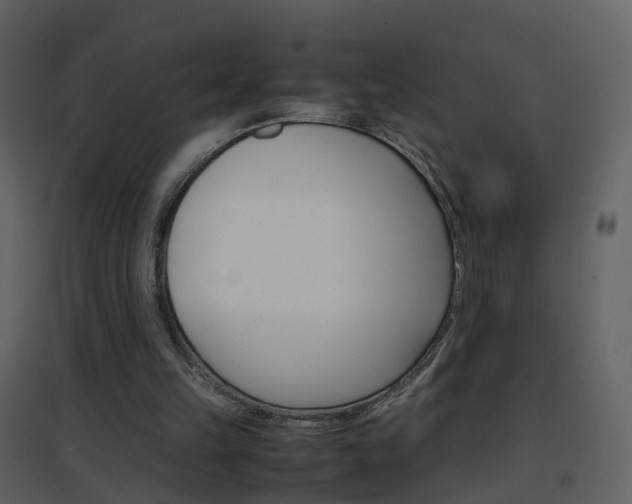 X0000096700149200802121210