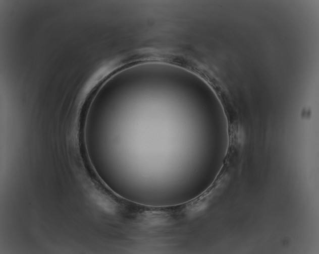 X0000096700150200802121210