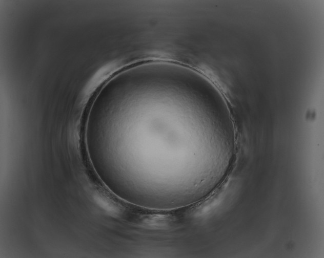 X0000096700151200802121210
