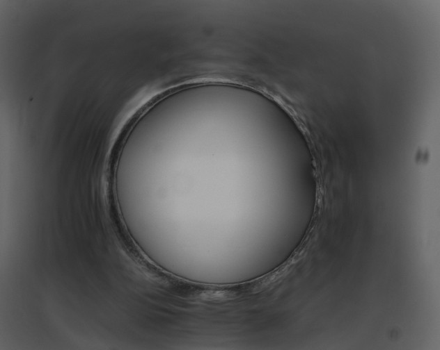 X0000096700152200802121210