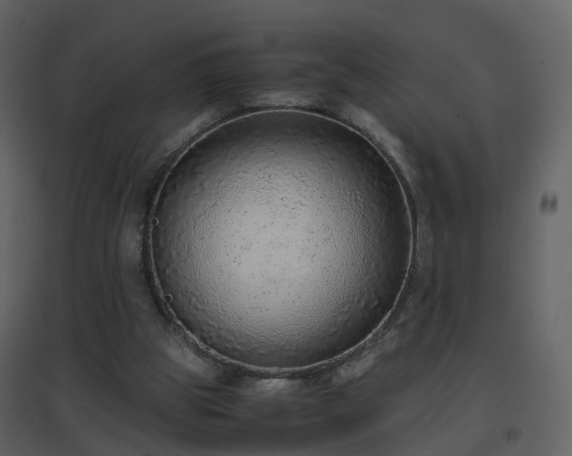 X0000096700153200802121210