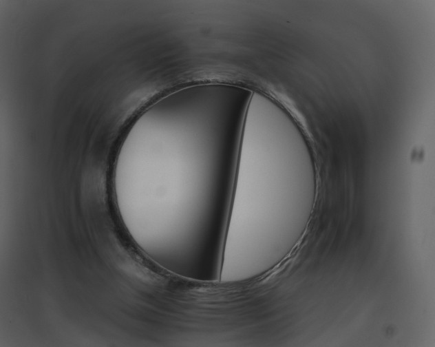 X0000096700154200802121210