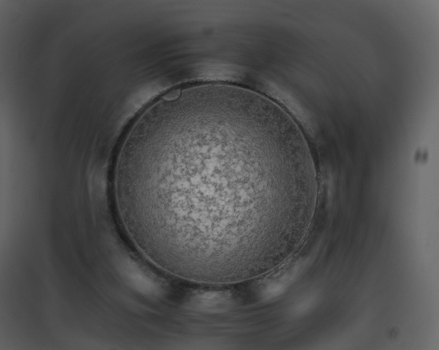 X0000096700155200802121210