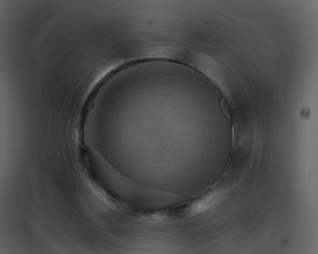 X0000096700156200802121210
