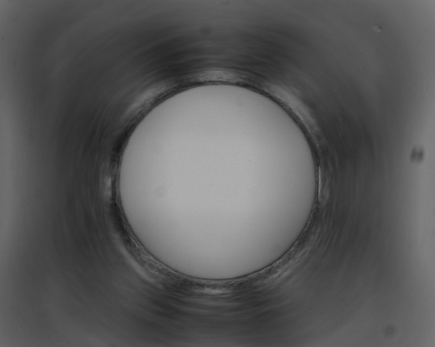 X0000096700157200802121210