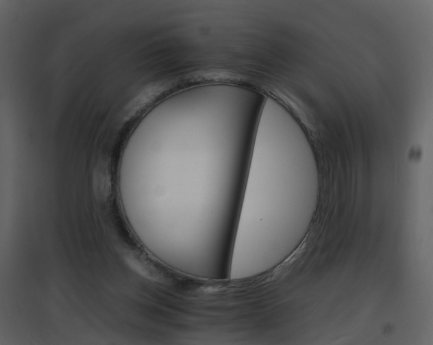 X0000096700158200802121210