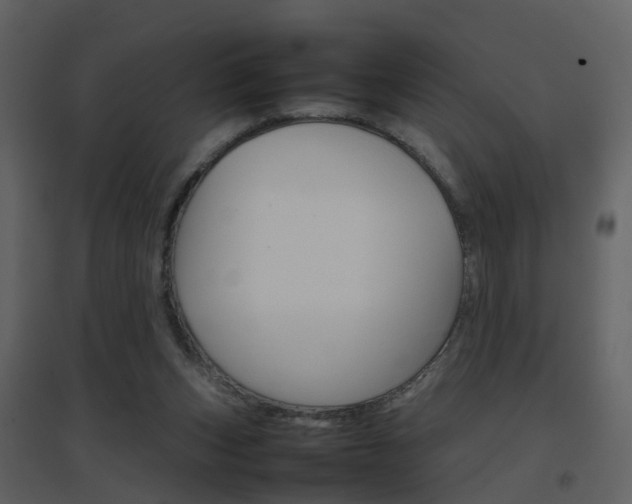 X0000096700159200802121210