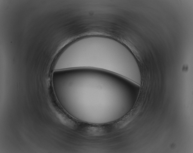 X0000096700160200802121210