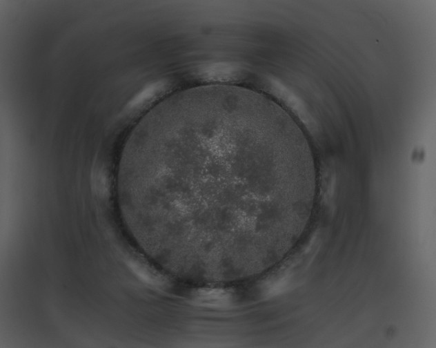 X0000096700161200802121210