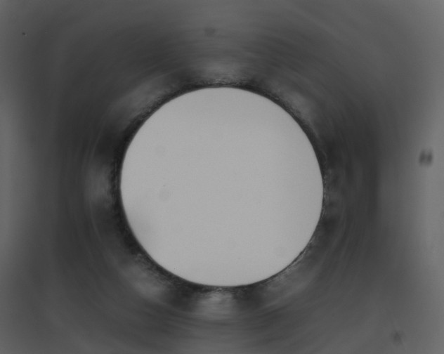 X0000096700162200802121210