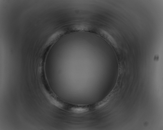 X0000096700163200802121210
