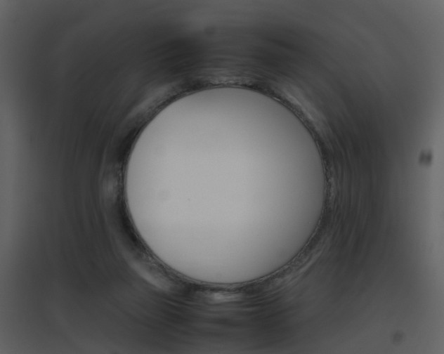 X0000096700165200802121210