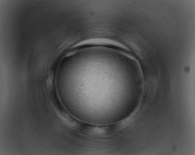 X0000096700166200802121210