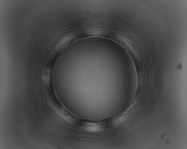 X0000096700167200802121210