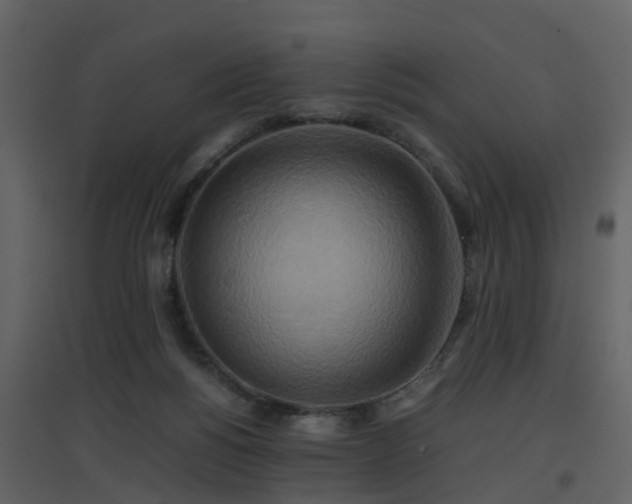X0000096700168200802121210