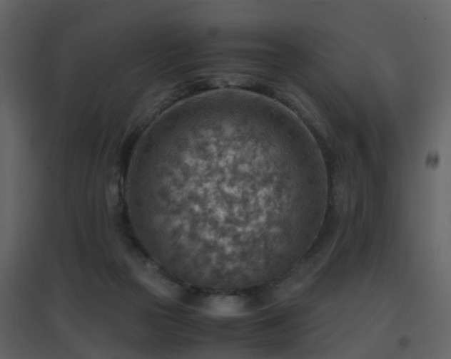X0000096700169200802121210