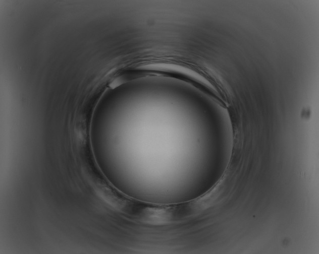 X0000096700170200802121210