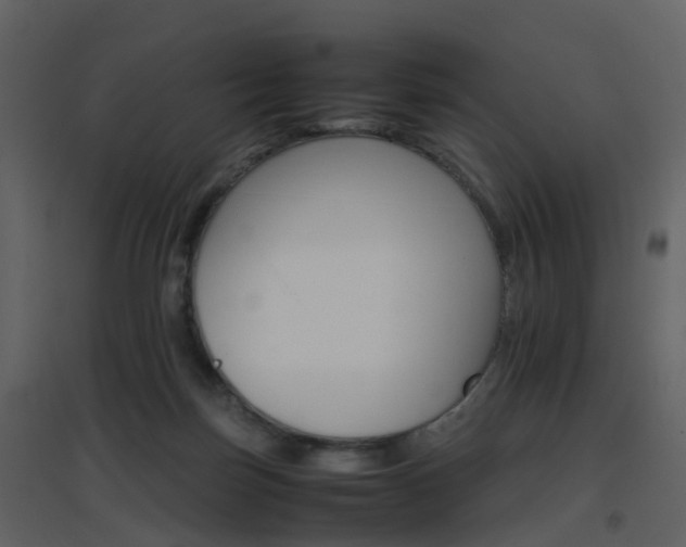 X0000096700171200802121210