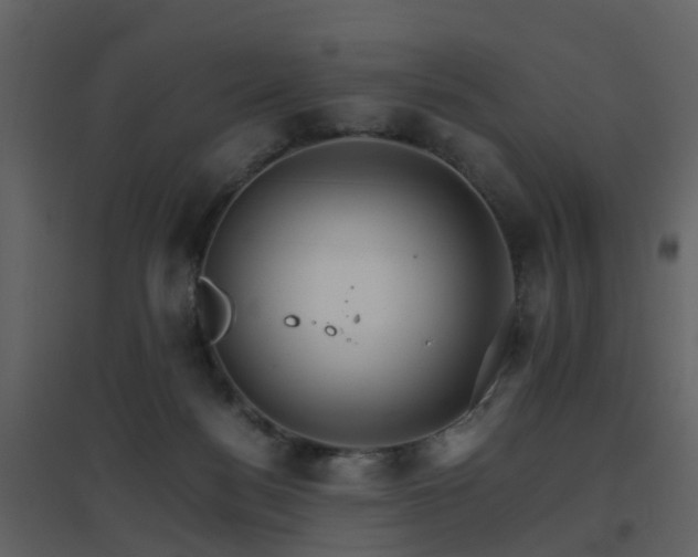 X0000096700172200802121210