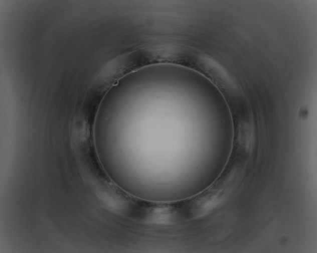 X0000096700173200802121210