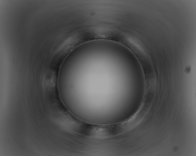 X0000096700174200802121210