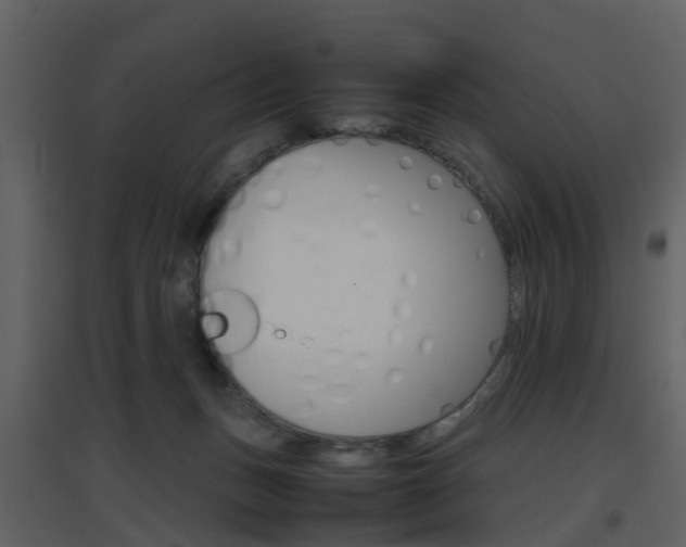 X0000096700175200802121210
