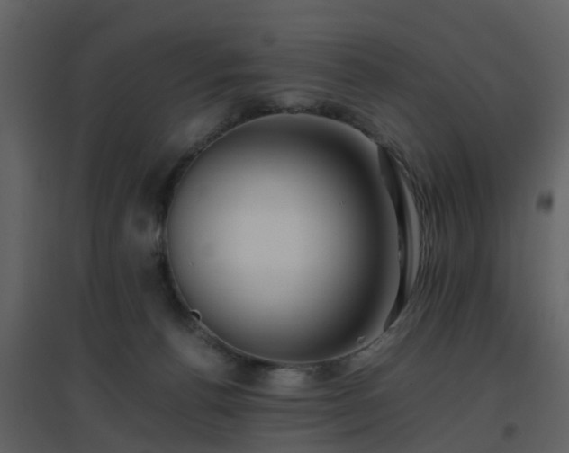 X0000096700176200802121210