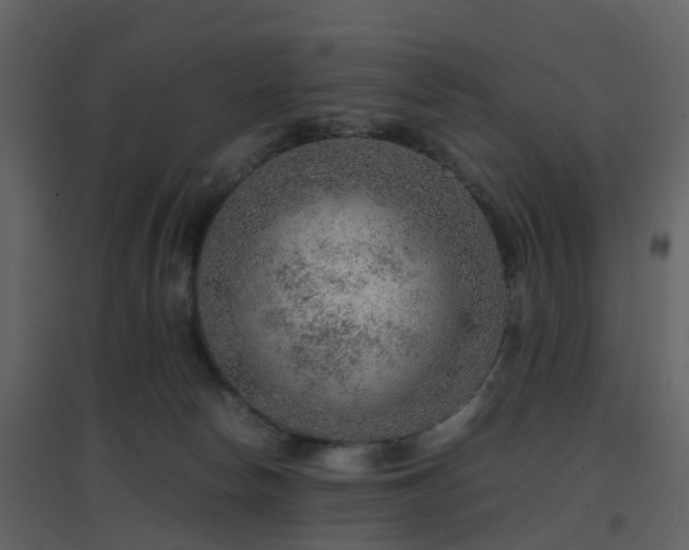 X0000096700178200802121210