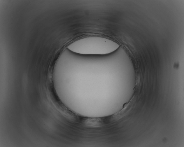 X0000096700179200802121210