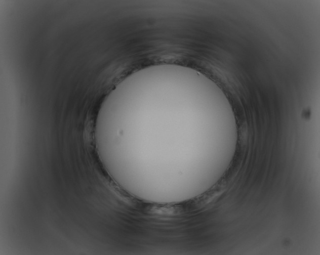 X0000096700181200802121211