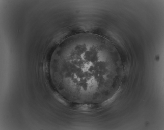 X0000096700182200802121211