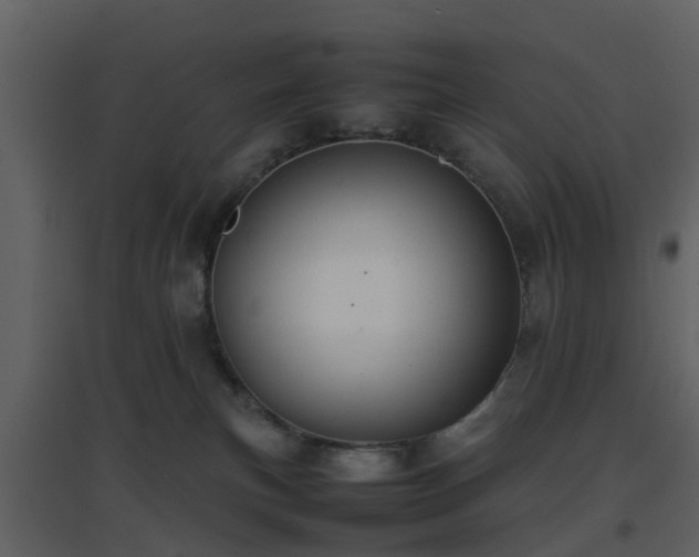 X0000096700183200802121211