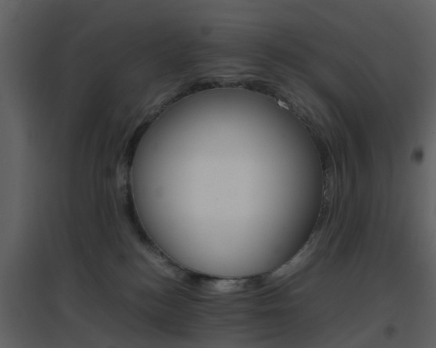 X0000096700184200802121211