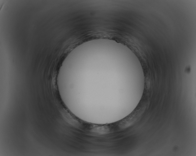X0000096700185200802121211