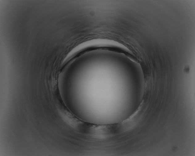 X0000096700186200802121211